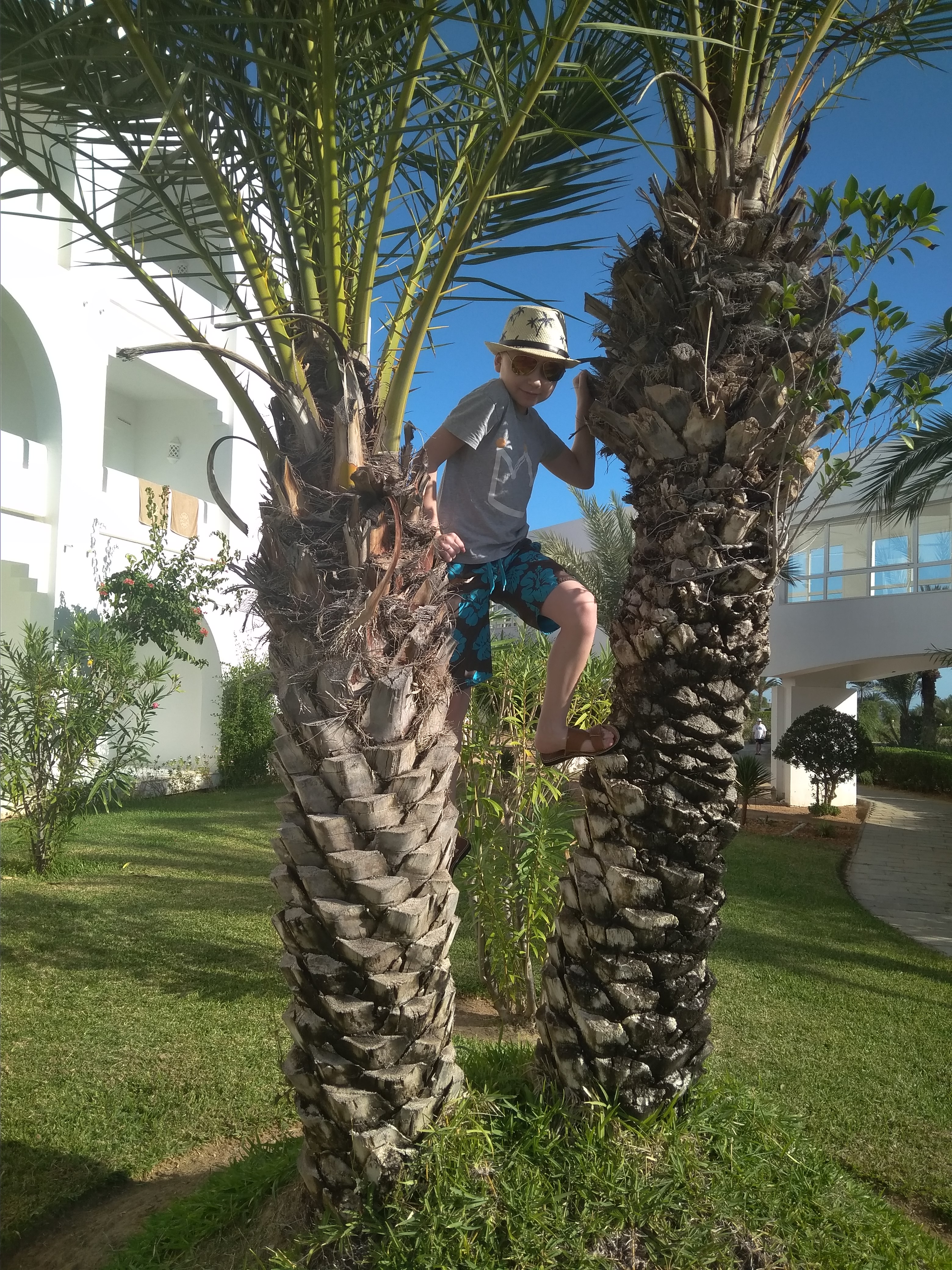 Фото Djerba Plaza Thalasso & SPA