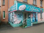 Маргаритка (ул. Каравайковой, 132, Иваново), магазин цветов в Иванове