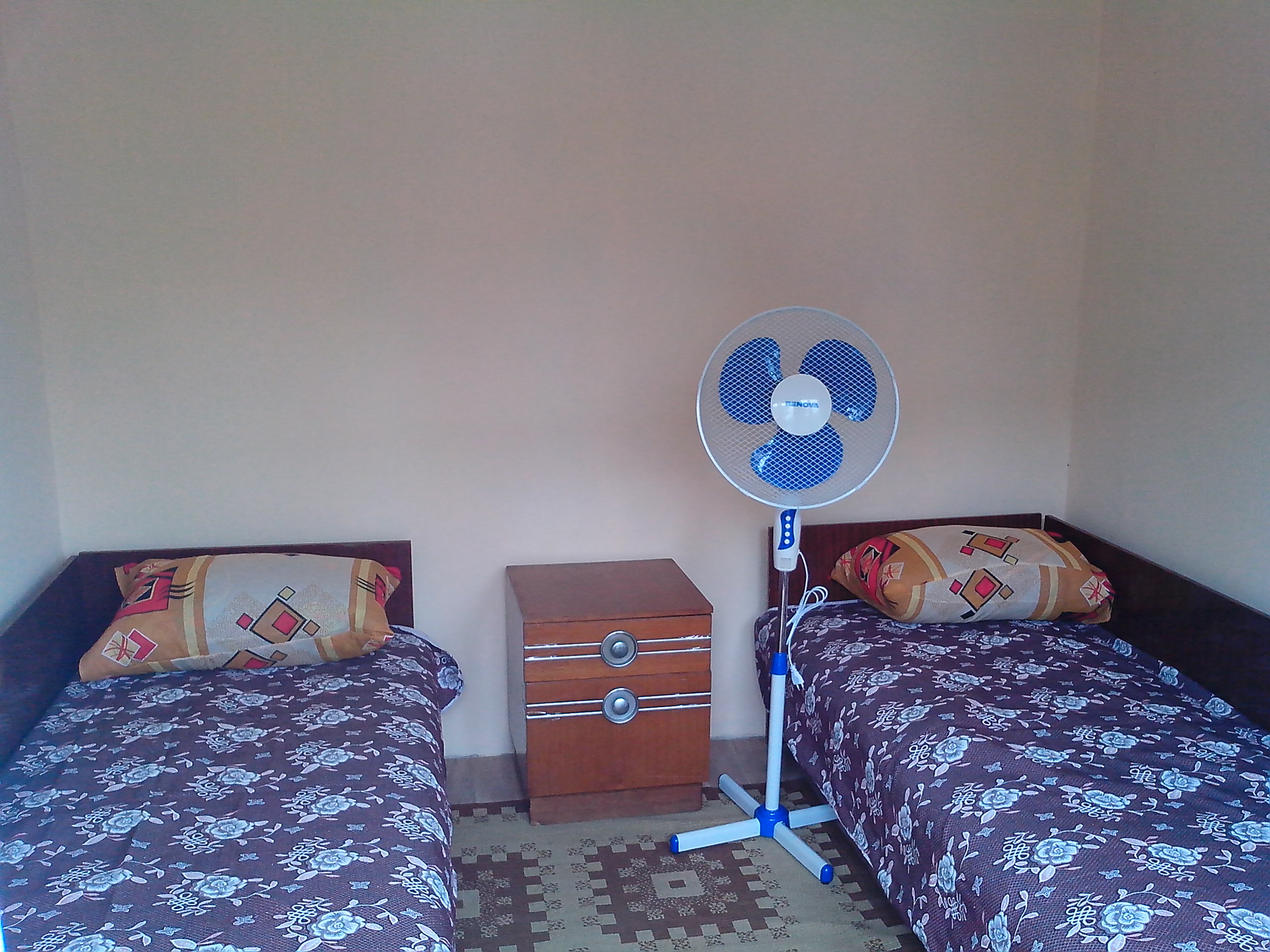 Фото Золотая Рыбка