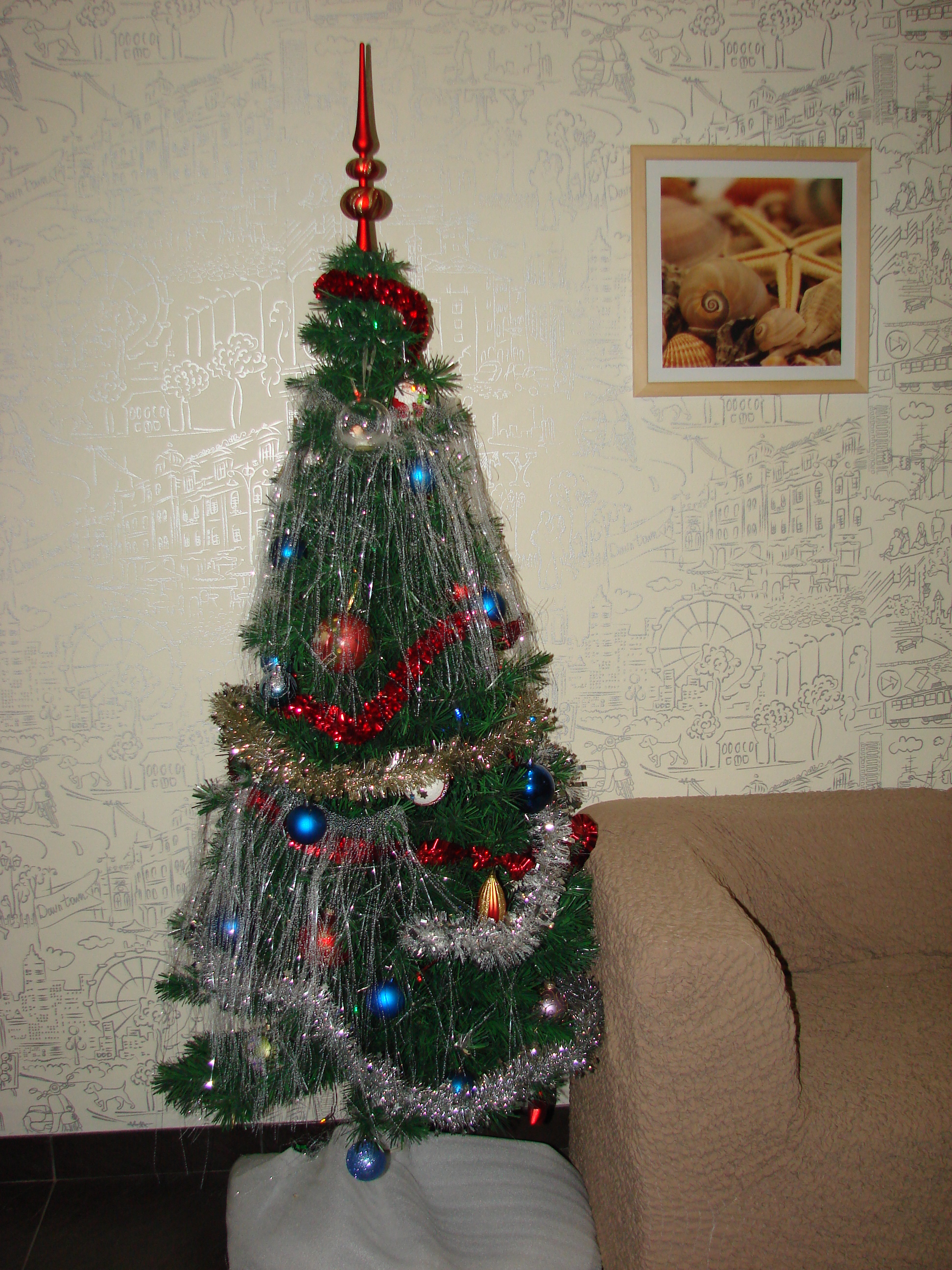 Фото Кипарис