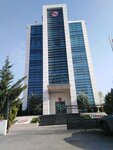Bilim Ilac (Ankara Province, Yenimahalle, Çamlıca Mah., 145. Cad., 4), compañía farmacéutica