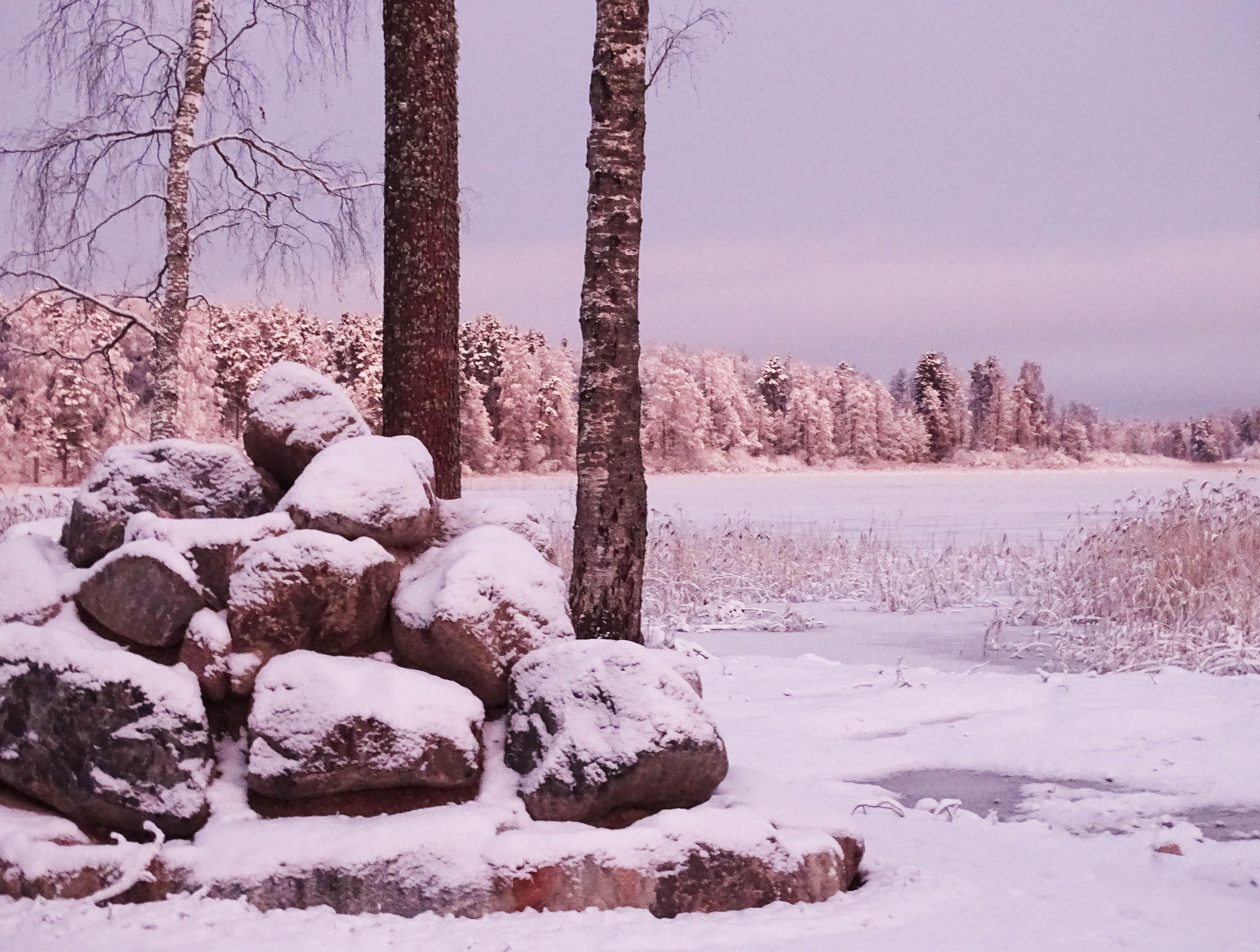 Фото Рыбная Слобода