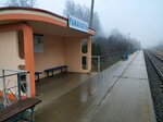 prypynačny punkt Ramanavičy (Homieĺski rajon, Ulukawski Rural Council, sadovodcheskoye tovarishchestvo Iput), train station