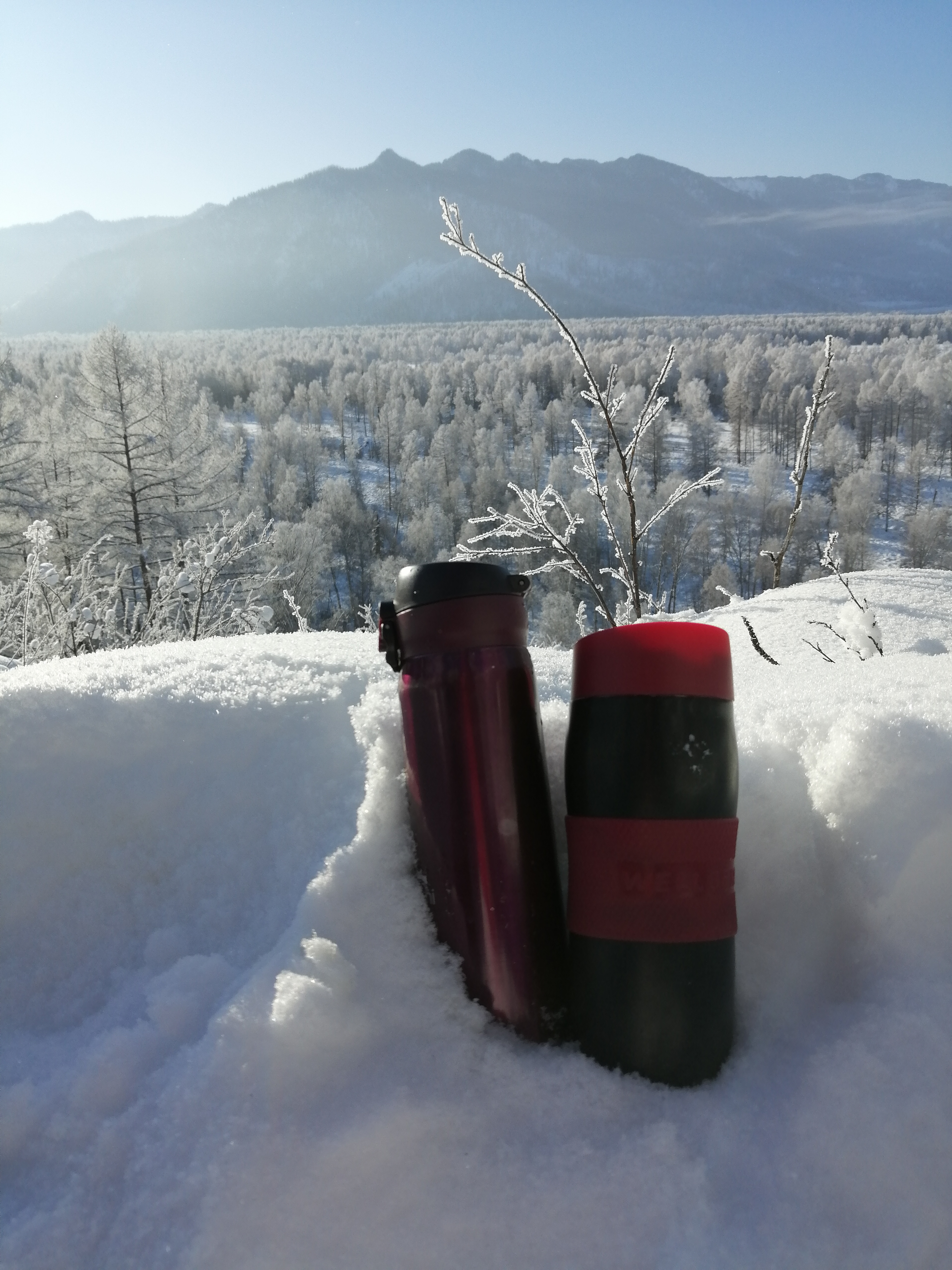 Фото Мультинское раздолье