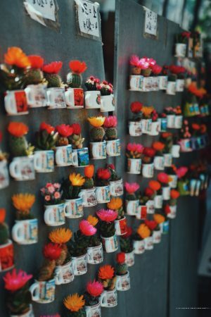 Фото Villa Coralina by Casa de Campo Resort & Villas