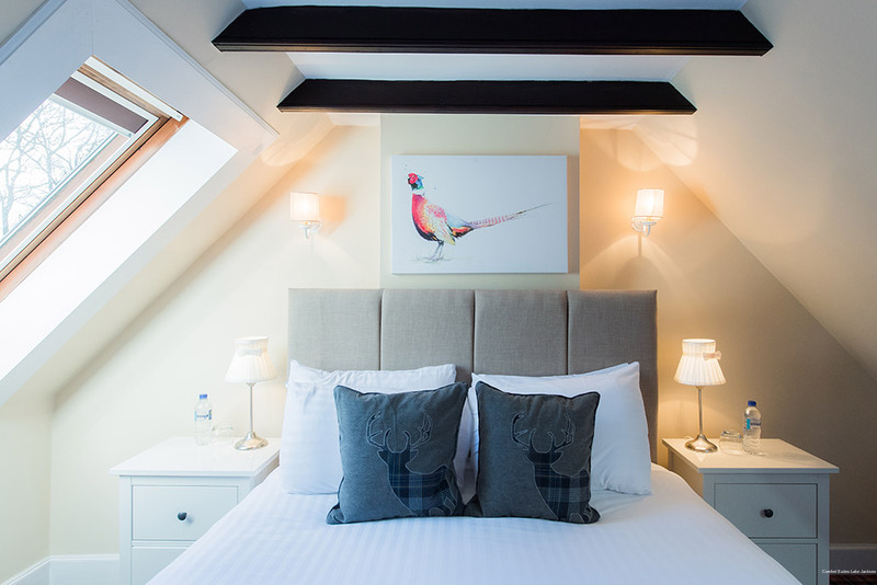 Фото Comfort Suites Lake Jackson Clute