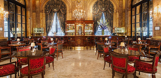 Фото Alvear Palace