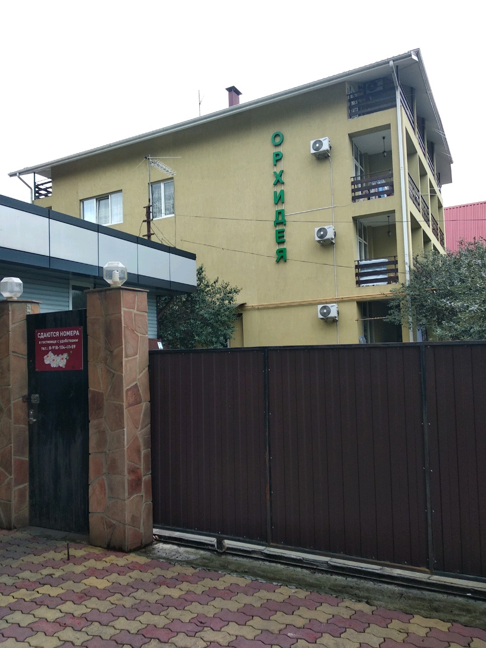 Фото Орхидея