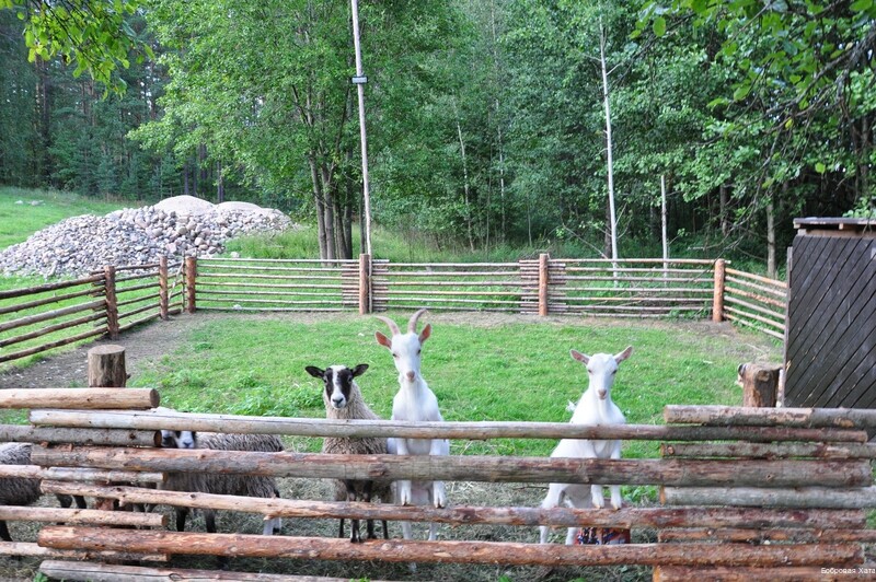 Фото Бобровая хата