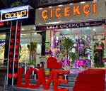 Tulip Flower Delivery Kayapınar Florist Diyarbakır Florist (Diyarbakır, Kayapınar, Fırat Blv., 140/E), flower shop