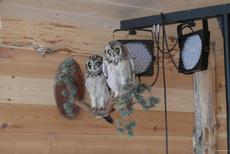 Фото У Борисыча