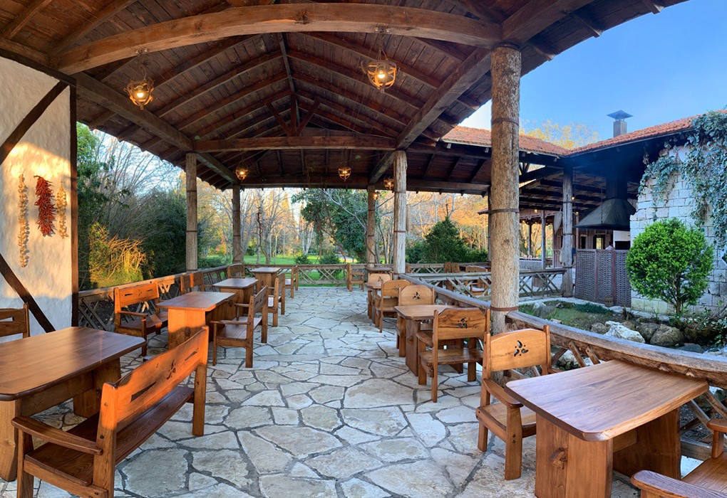 Фото Самшитовая роща