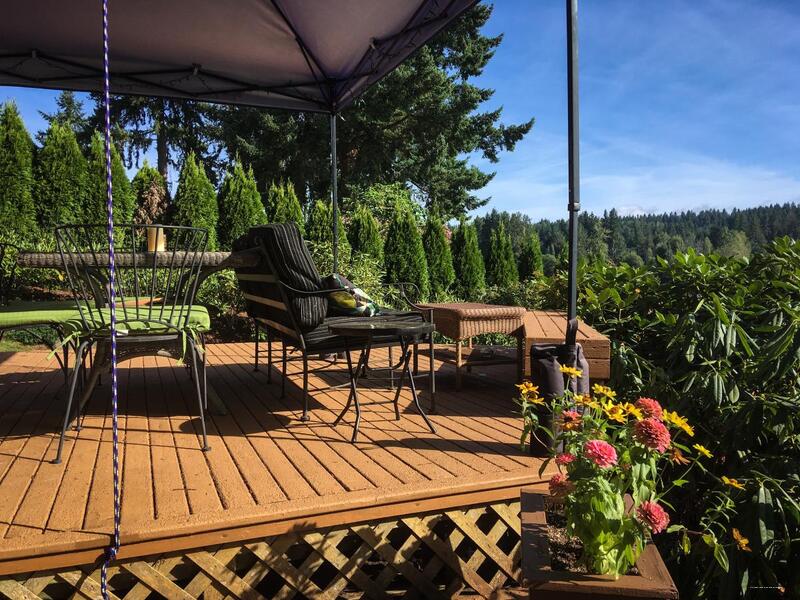 Фото Cottage Lake Bed and Breakfast