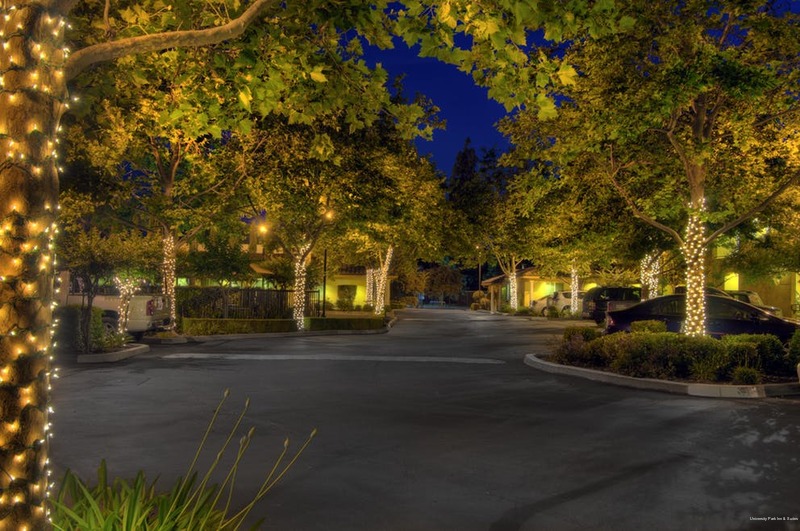 Фото University Park Inn & Suites