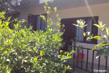 Фото Кипарис