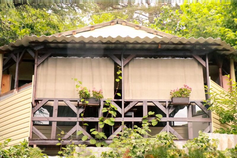 Фото Сосновый Бор