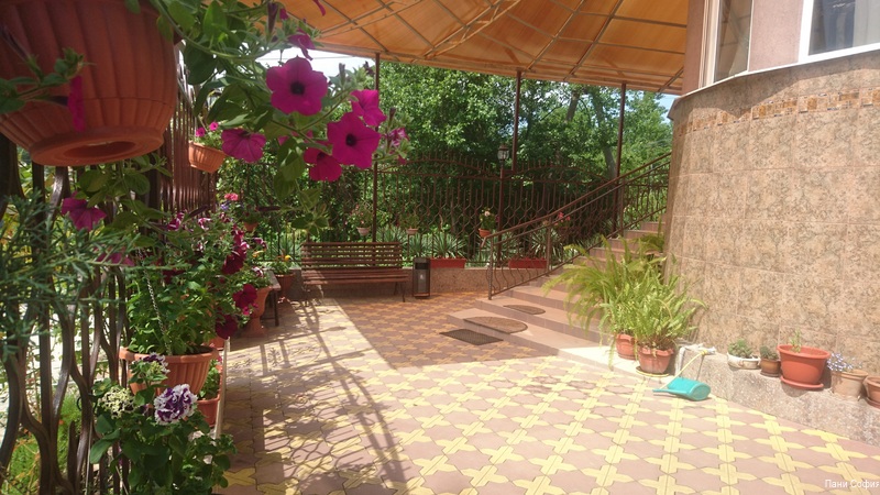 Фото Пани София