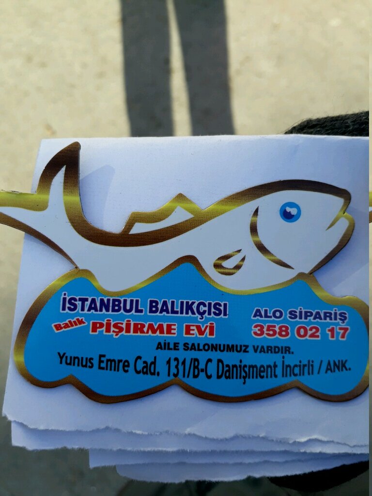 istanbul balikcisi