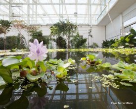 Фото Hotel Terme Milano