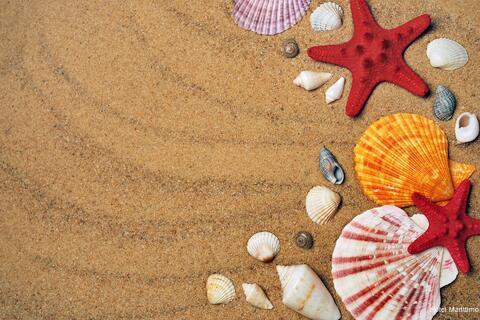 Фото Hotel Marittimo