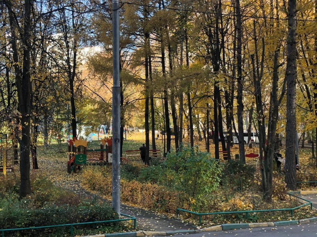 Фото Меркурий