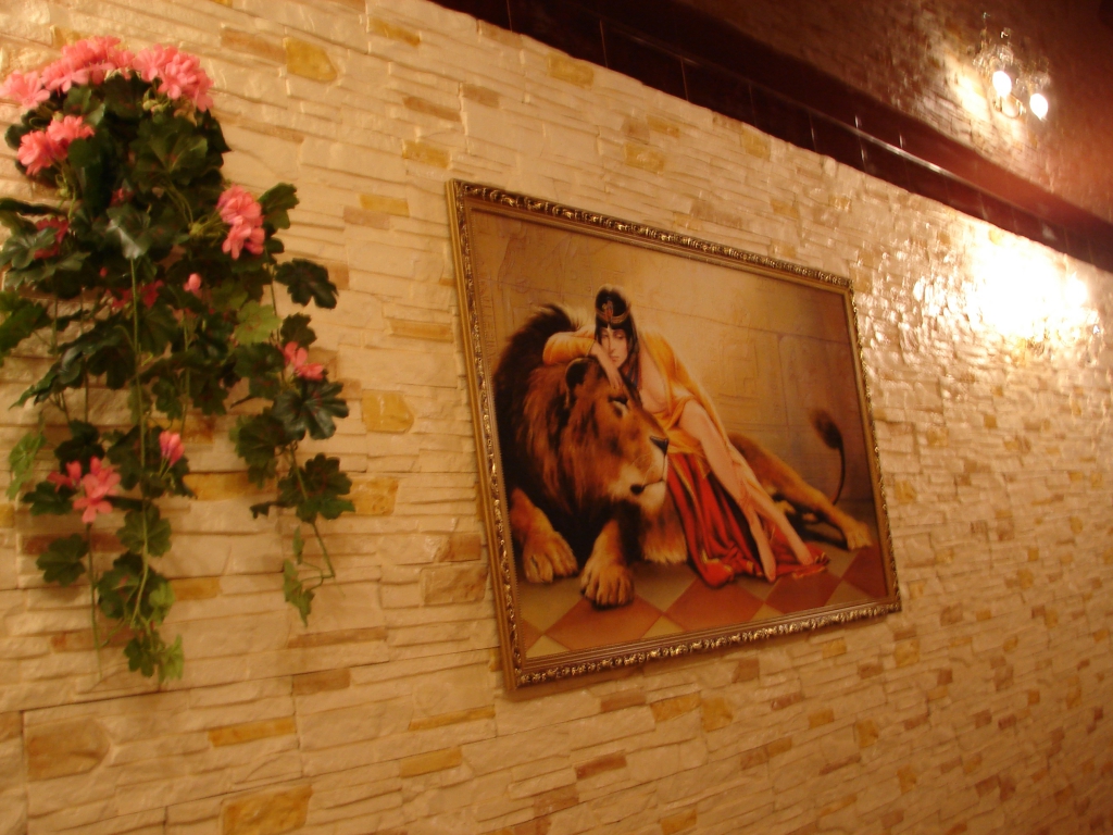 Фото Ивушка