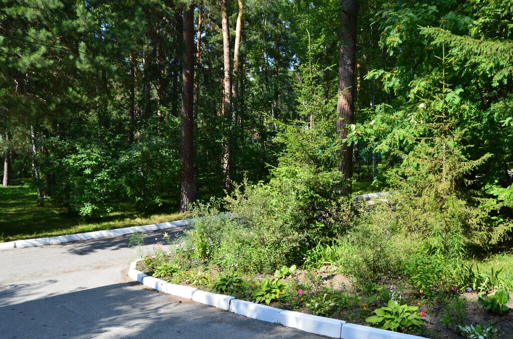 منتجع Military Sanatorium Yeltsovka ، نوفوسيبيرسك، صورة