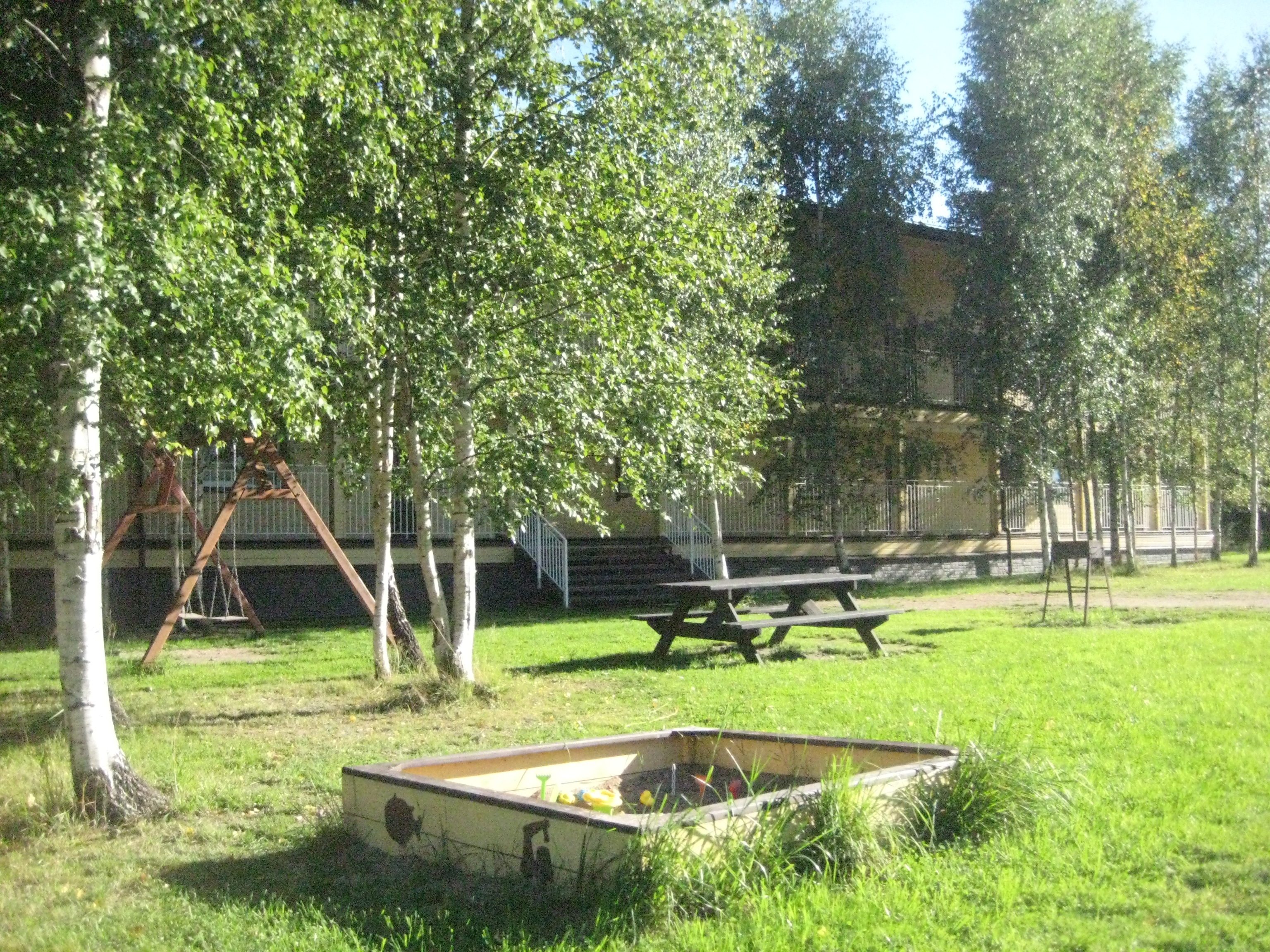 Фото Березки