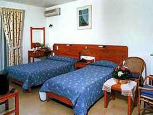 Гостиница Irini Hotel