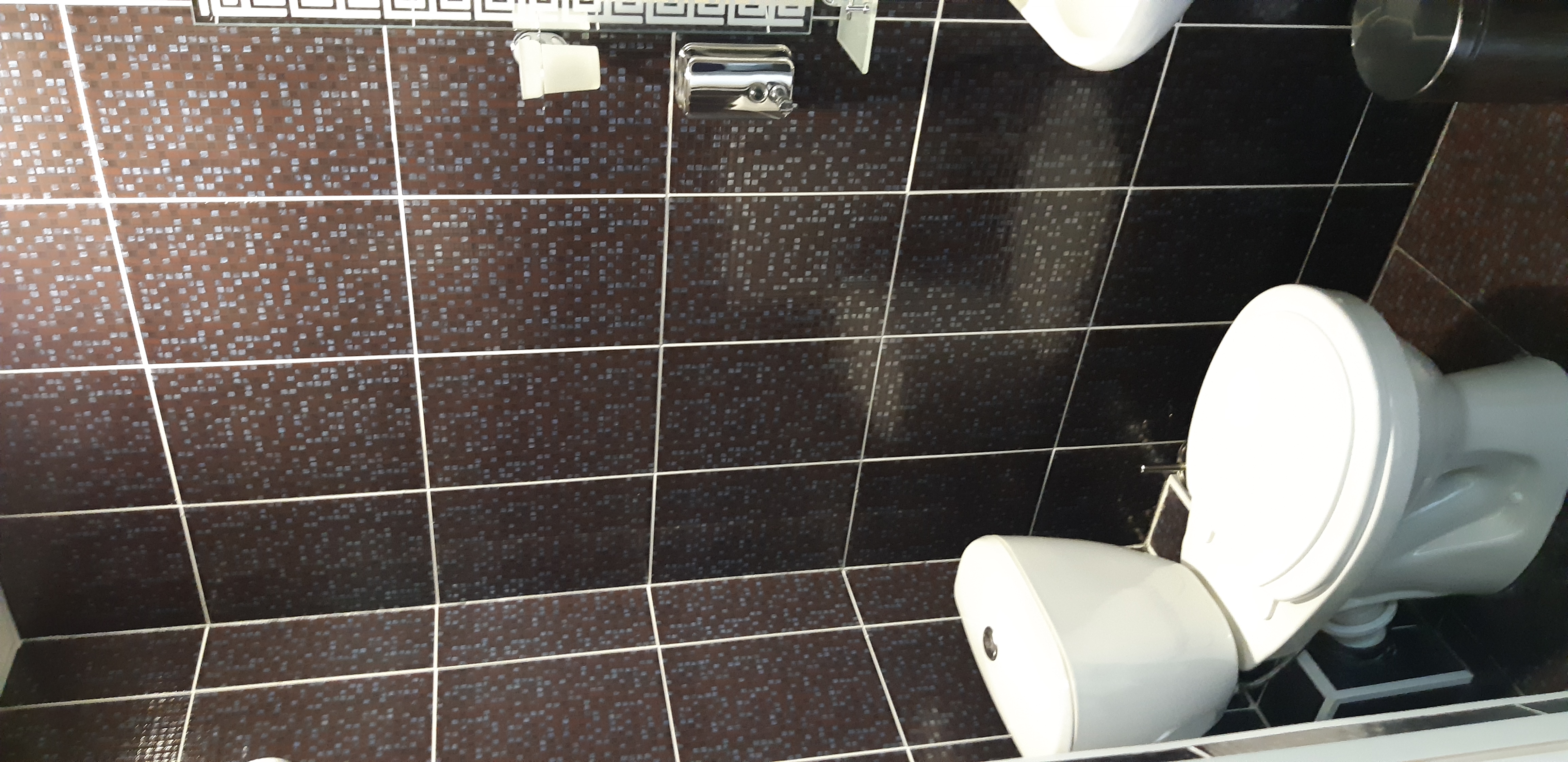 Фото Белое Дерево