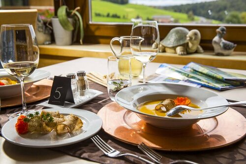 Гостиница Hotel Dolomitenblick