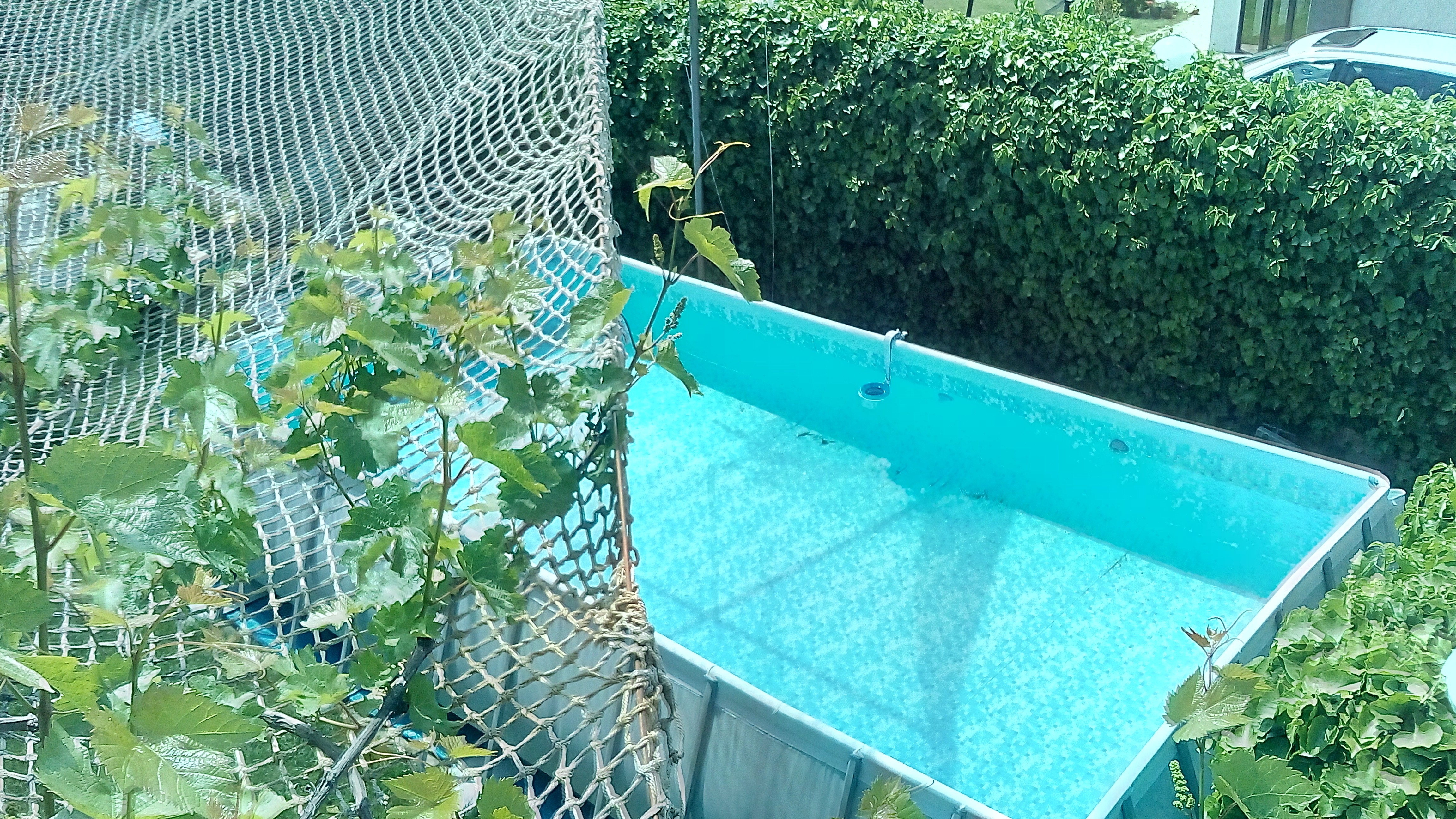 Фото Добрый шкипер