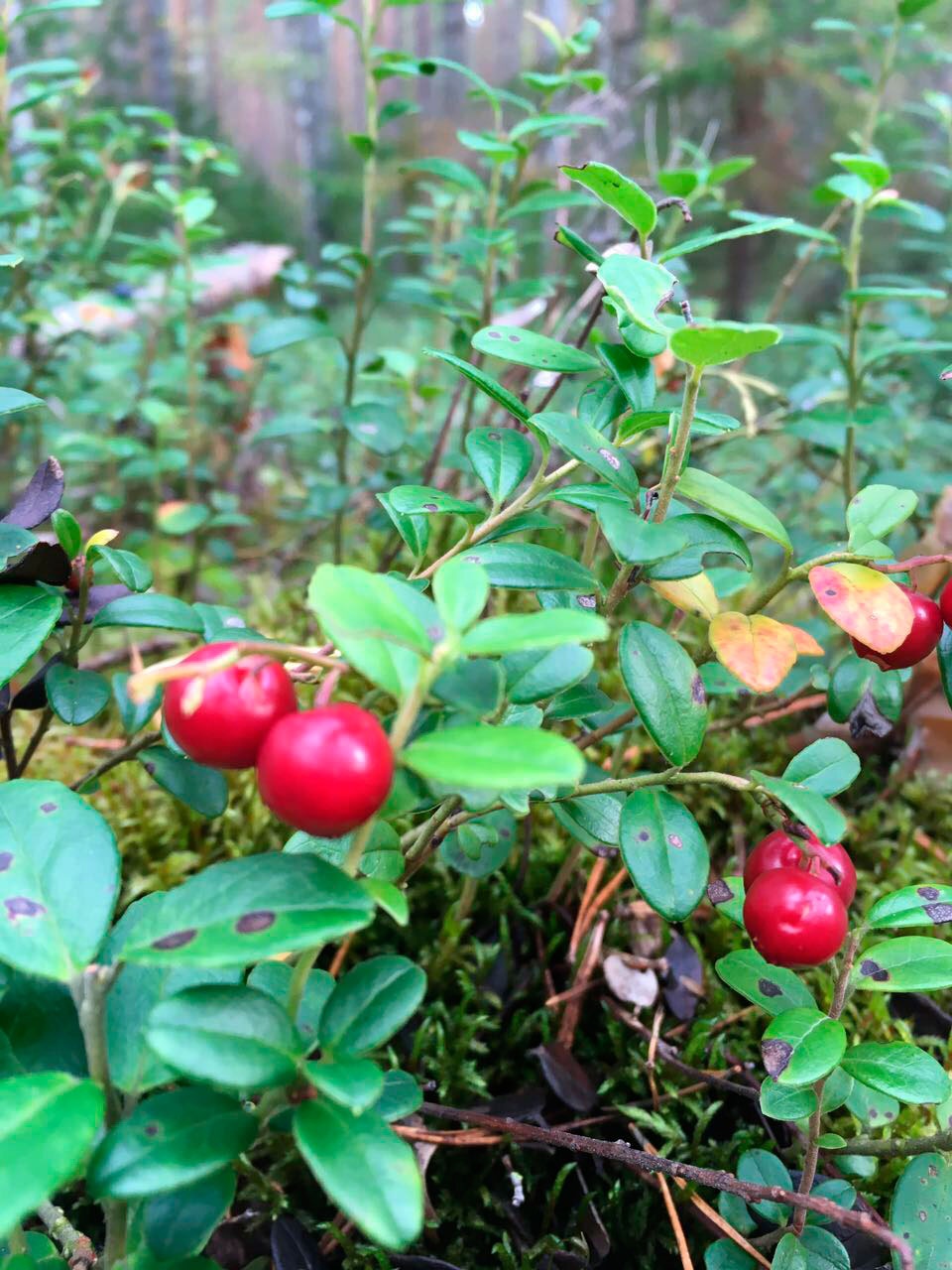 Фото Уютный причал