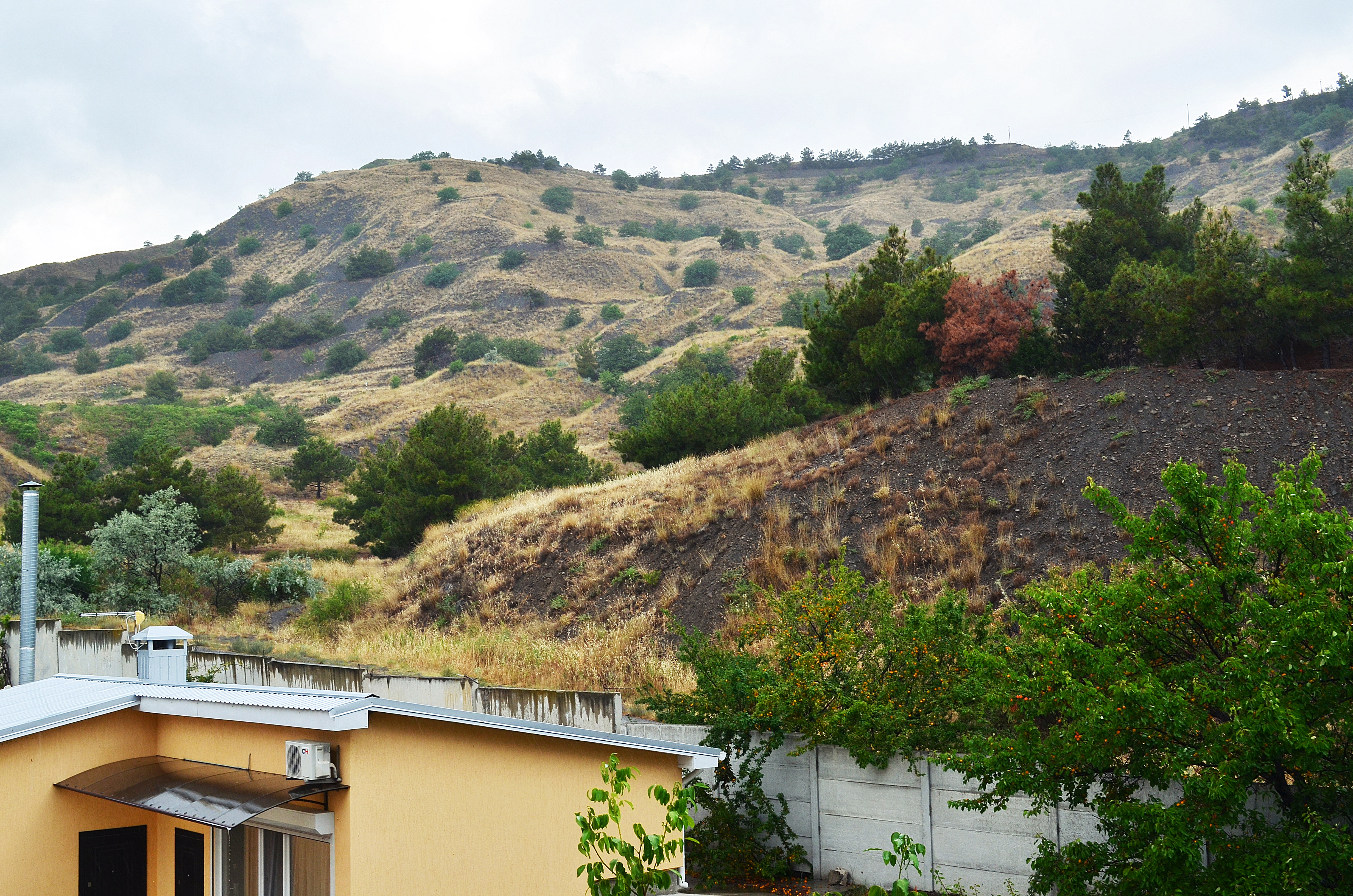 Фото Гд № 10