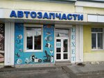 Lexet (Mosina Street, 6/8), auto parts and auto goods store