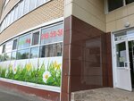 Chastny detsky sad RostOk (Sovetskoy Armii Street, 72/1), kindergarten, nursery