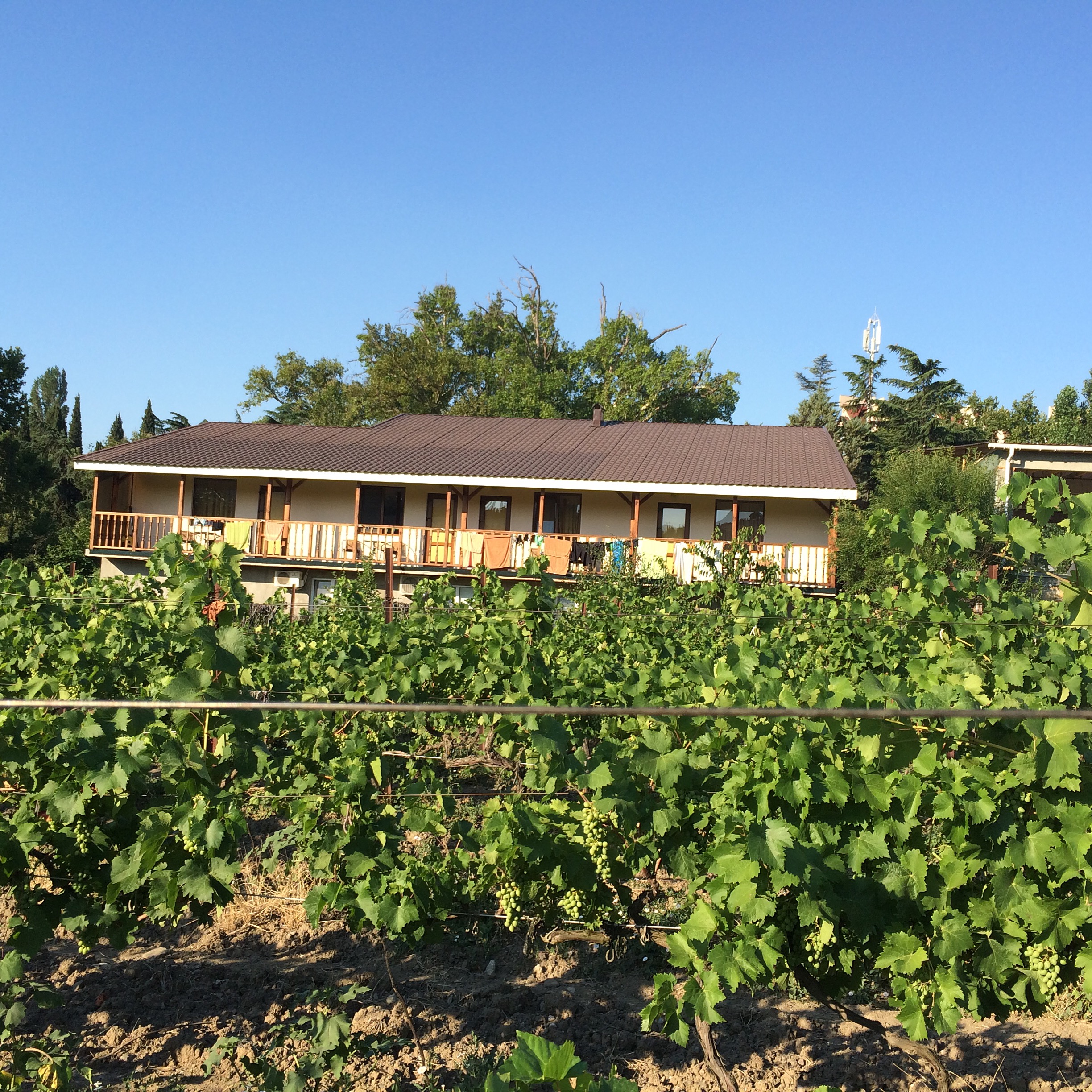 Фото Нептун у реки