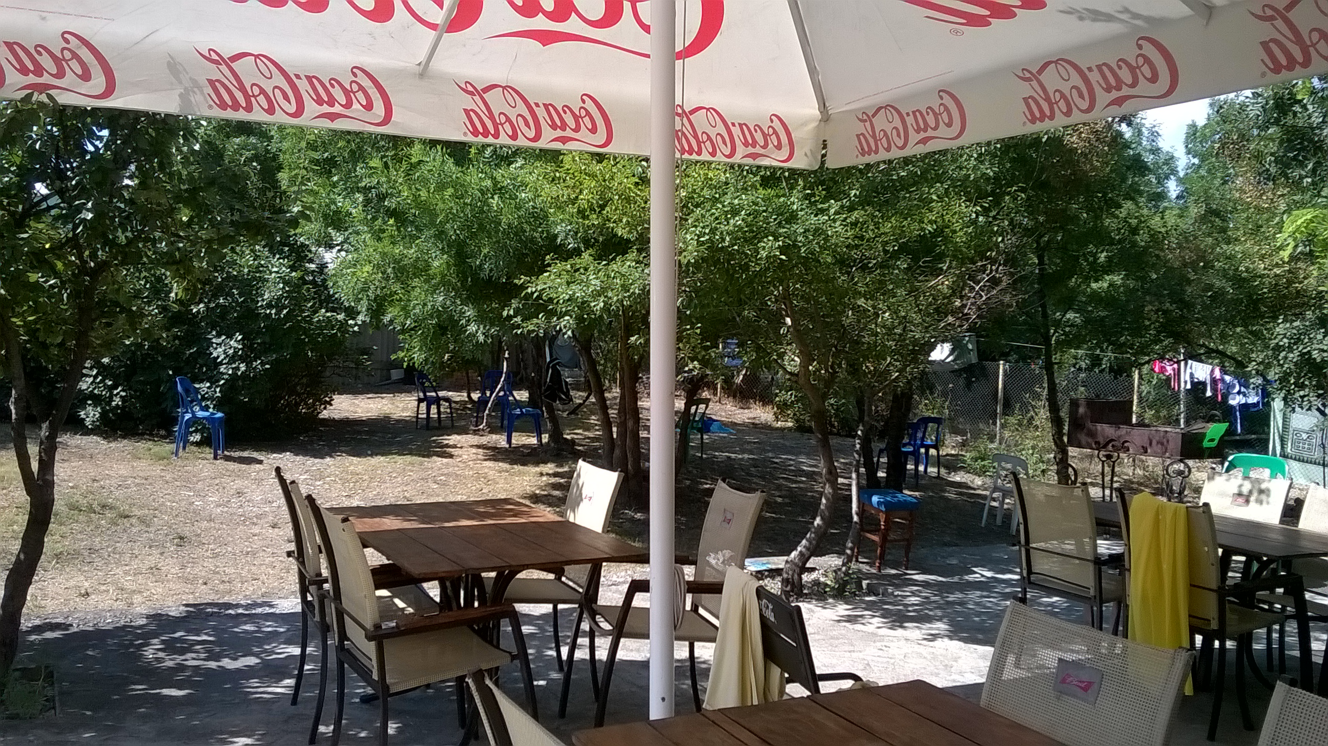 Фото Дружба