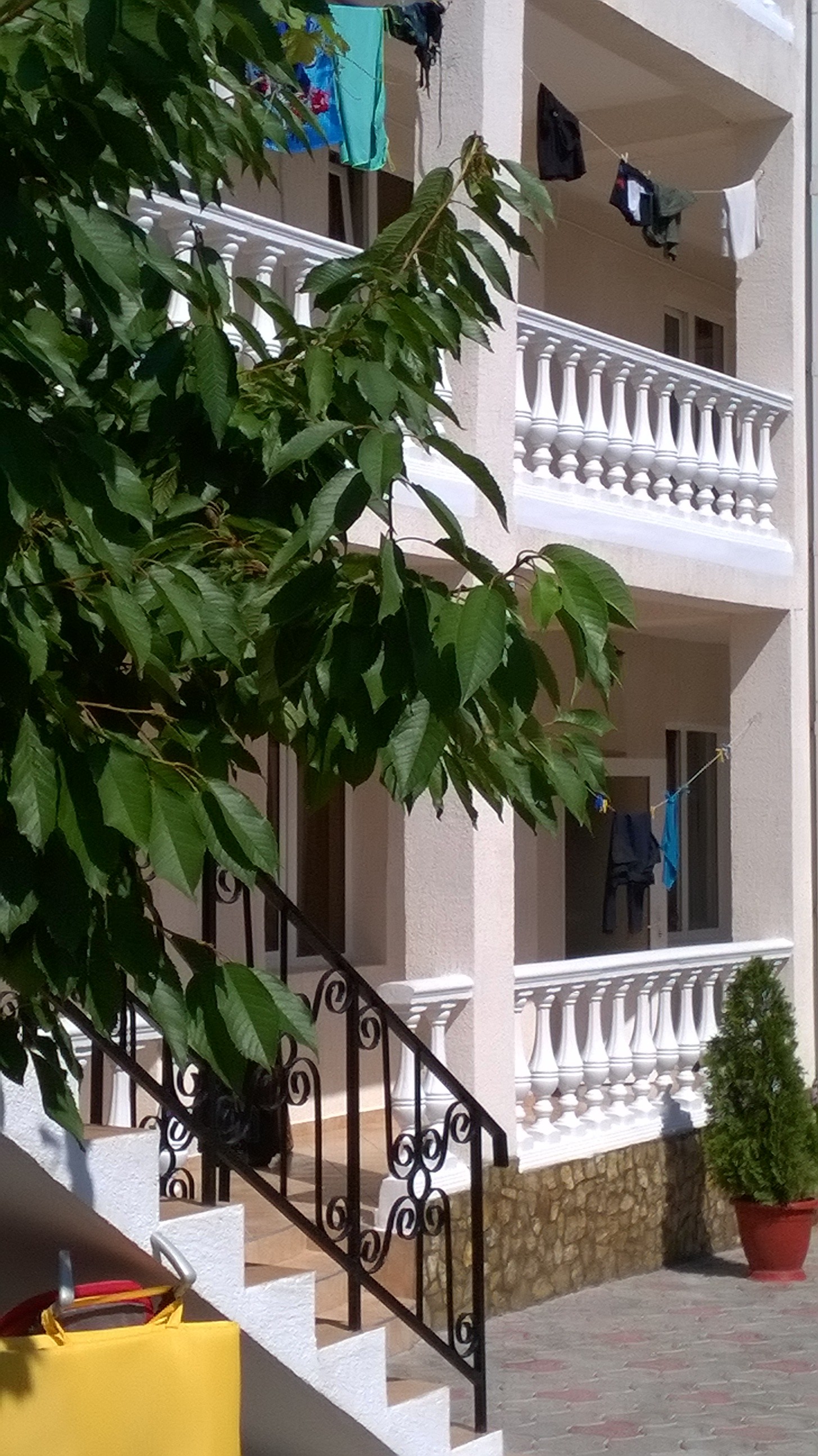 Фото Дружба