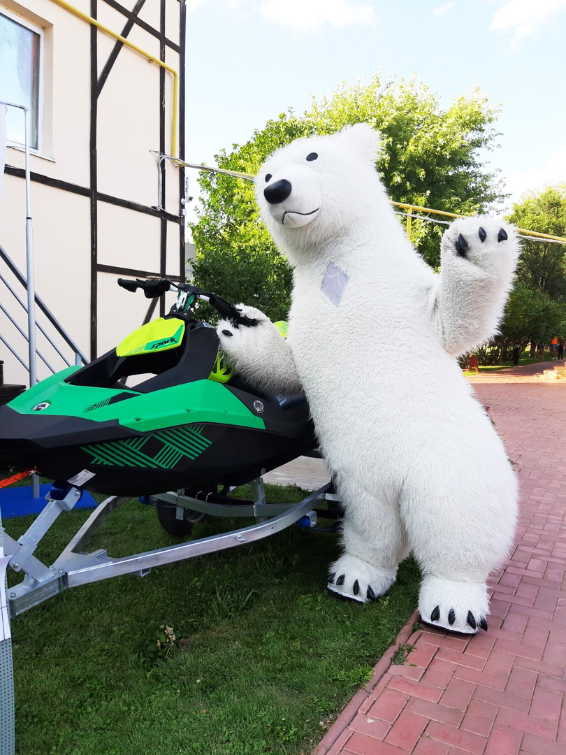 Фото Подсолнух