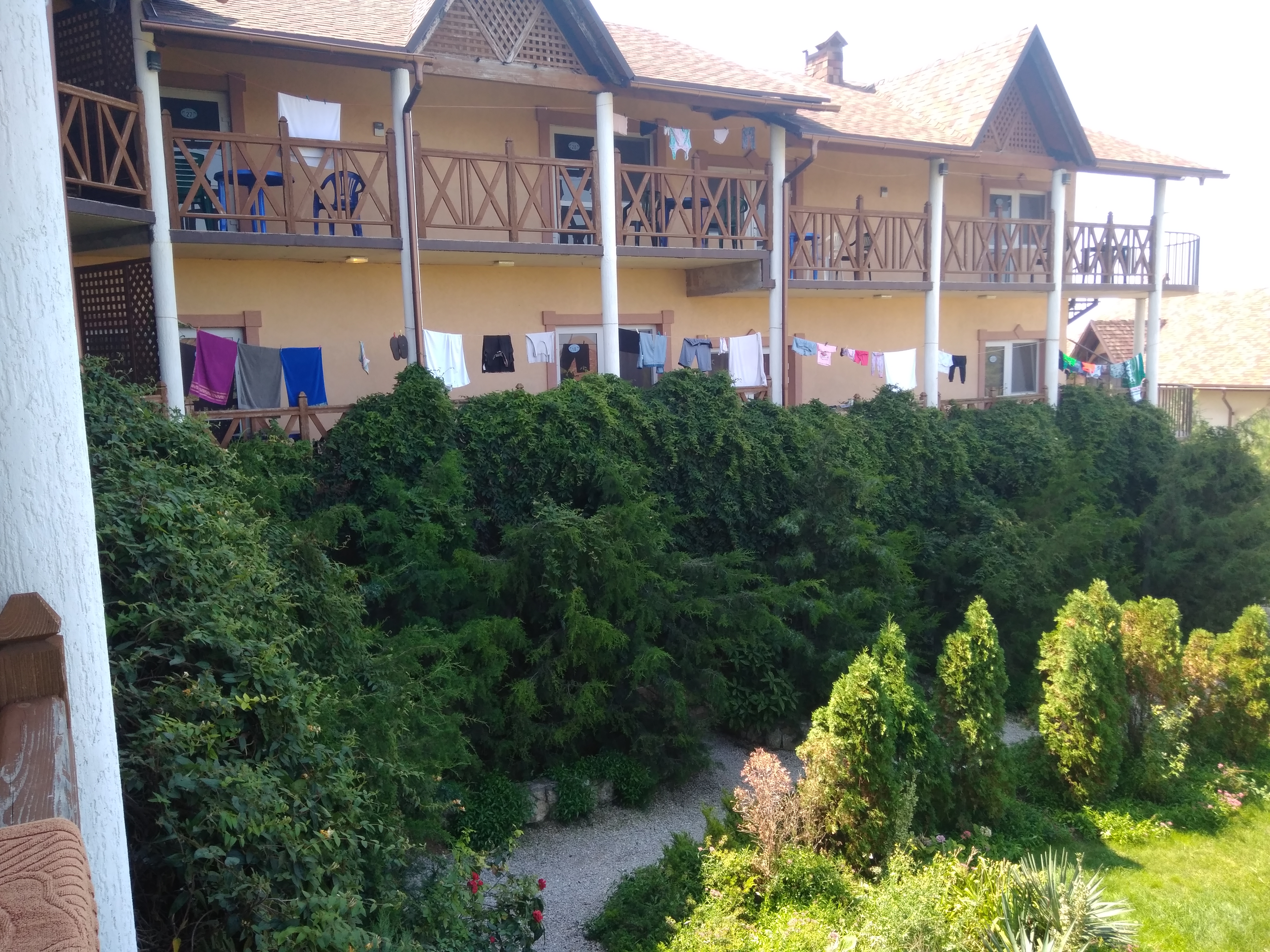 Фото Марлин