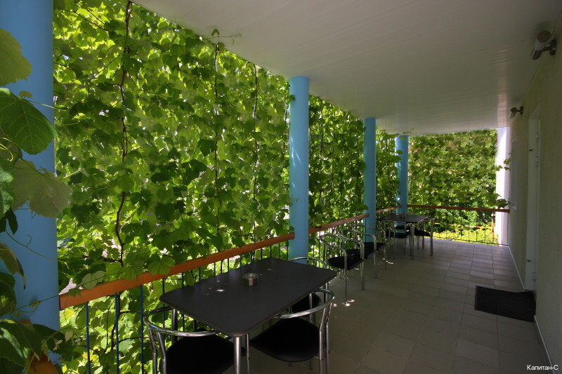 Фото Капитан-С