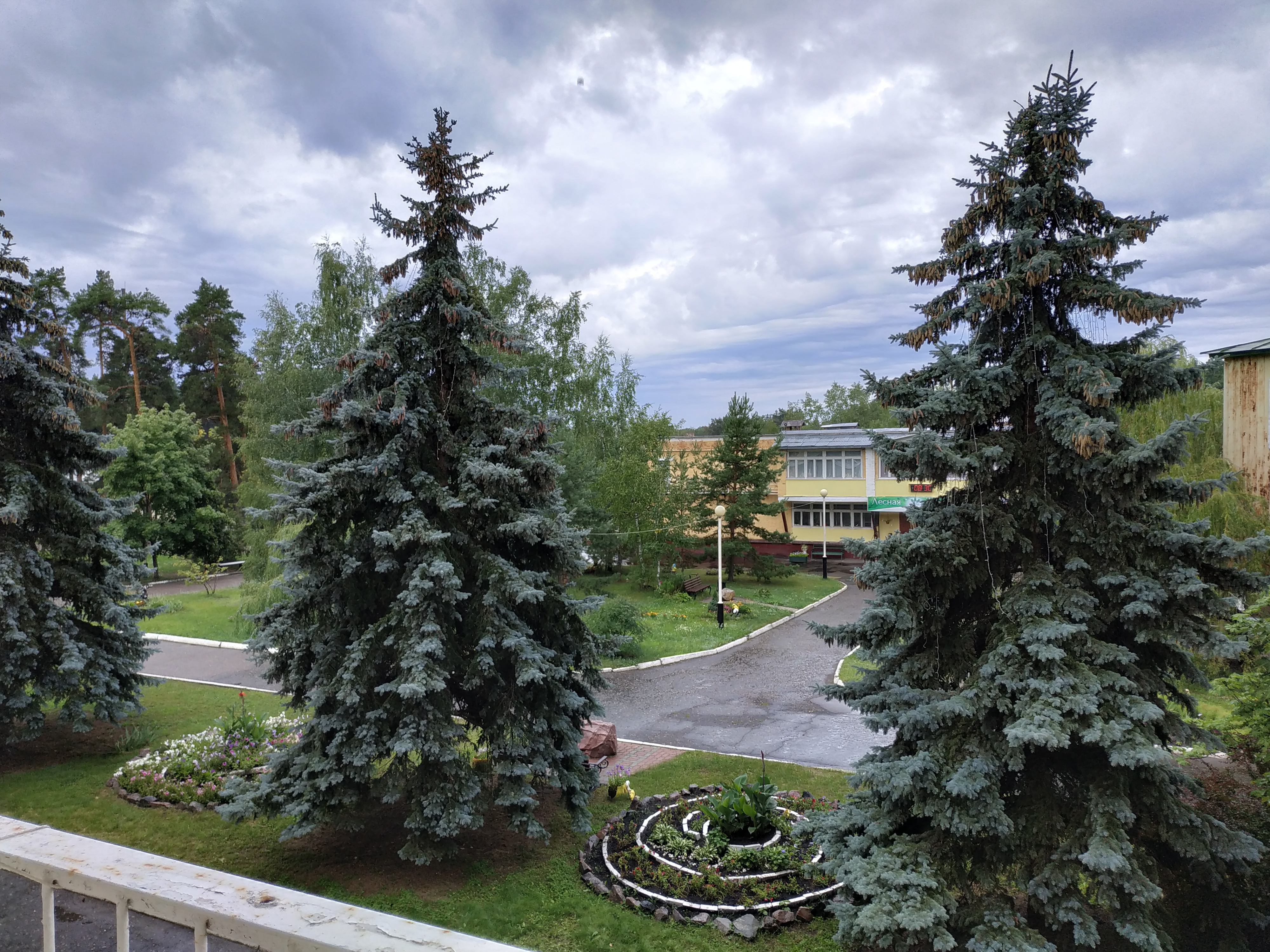 Фото Лесная жемчужина