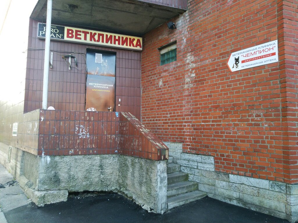 Ветеринарная клиника Чемпион, Санкт‑Петербург, фото