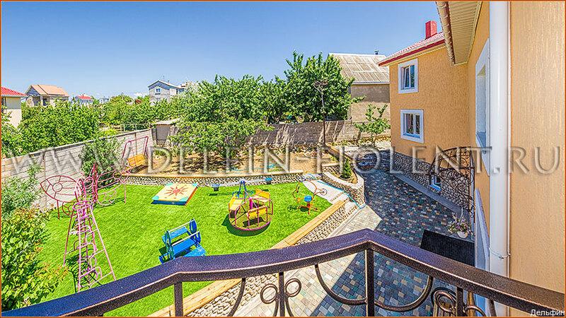 Фото Дельфин