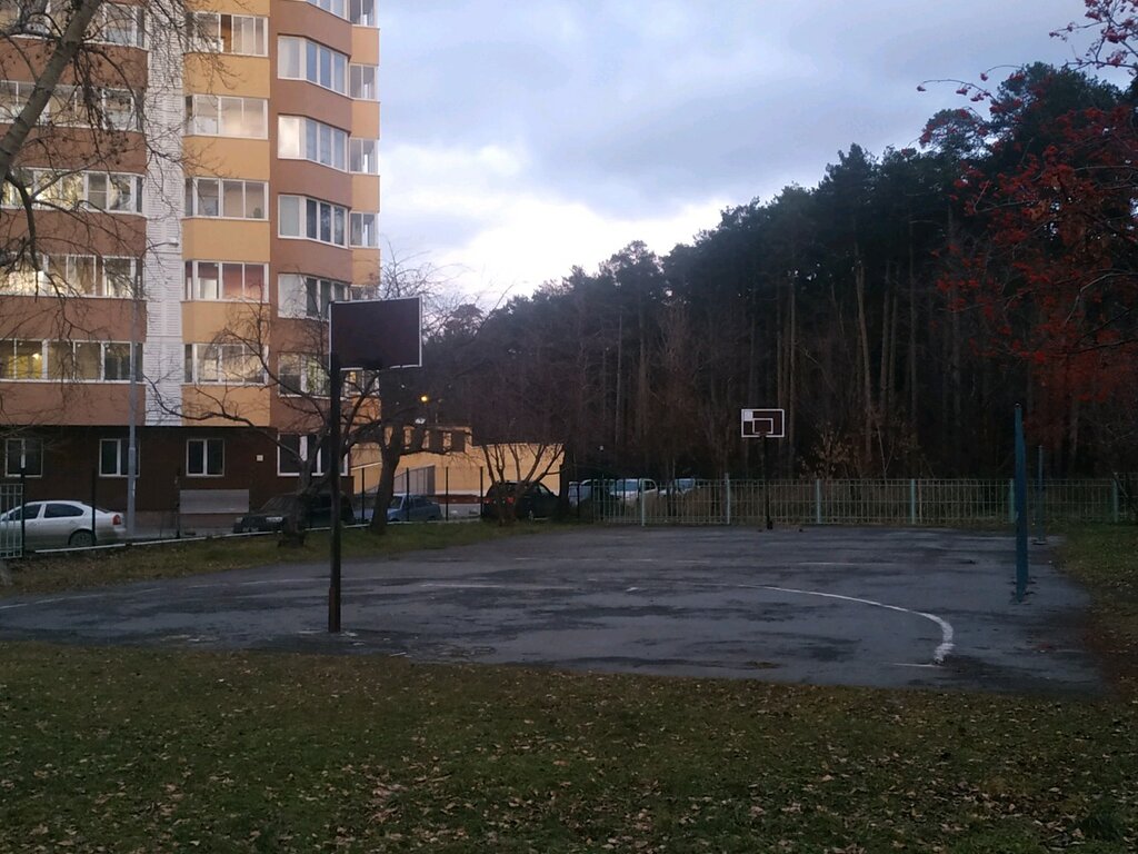 Баскетбольная площадка