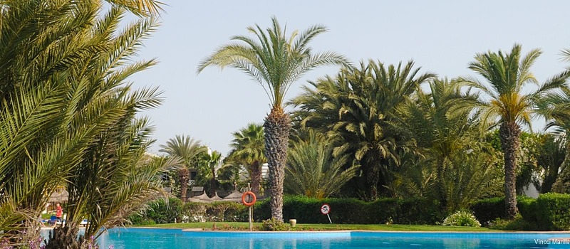 Фото Vincci Marillia