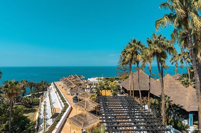 Фото Dreams Jardin Tropical Resort & SPA