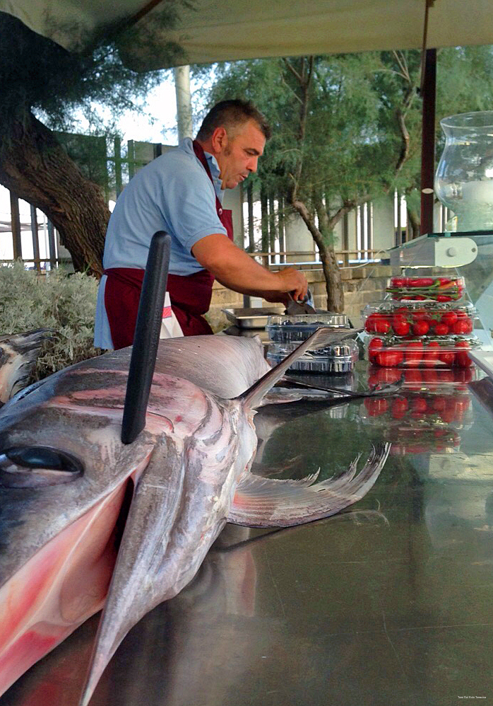 Фото Hotel Torre Del Sole