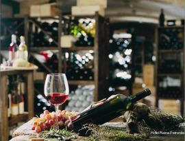 Фото Reina Petronila